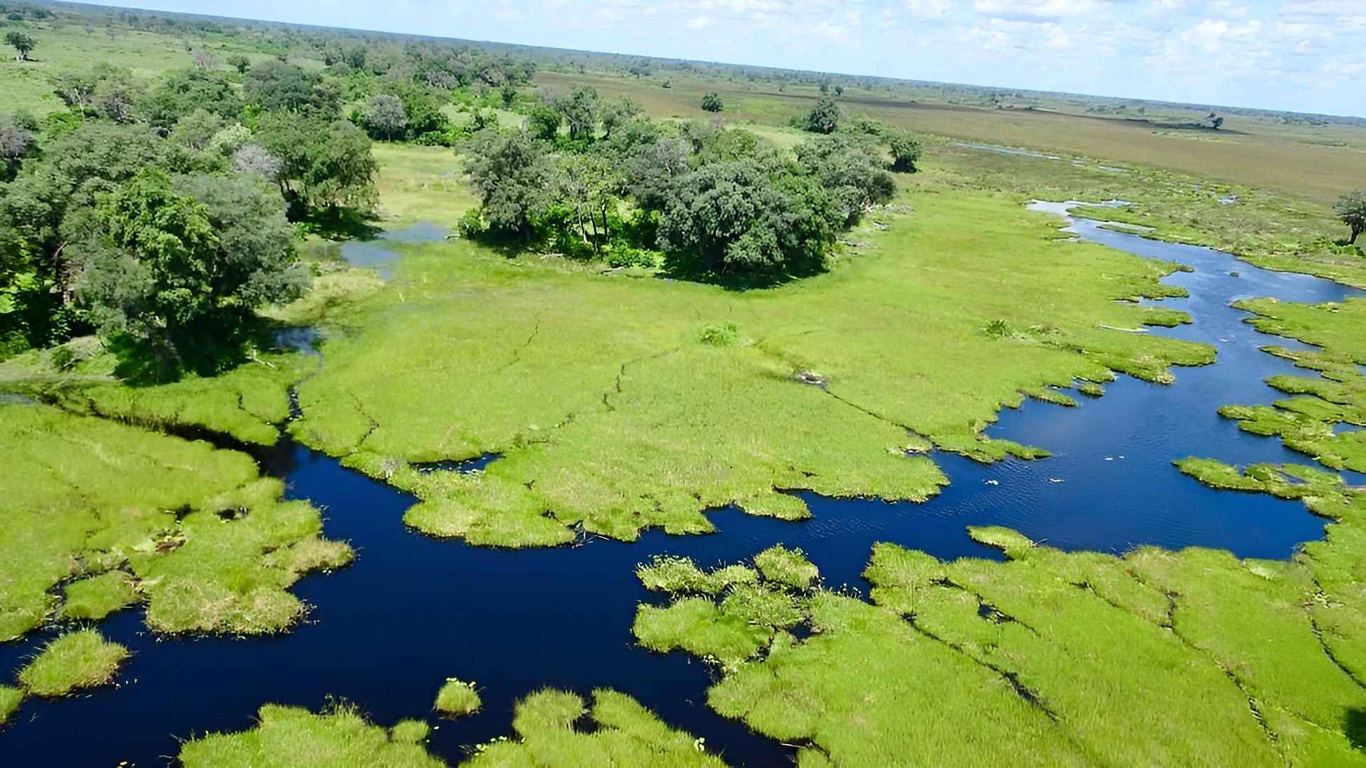 Delta do Okavango, do Trip Advisor