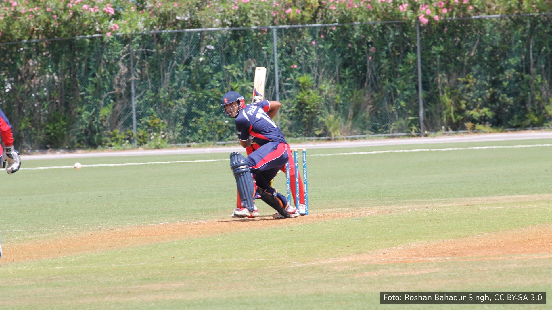 Paras Khadka rebatendo pelo Nepal