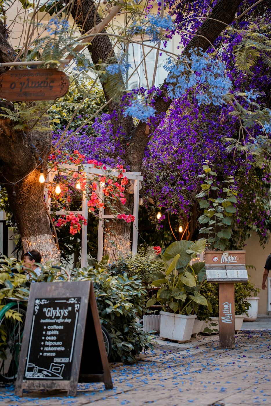 A entrada de um café sob uma cascata de buganvílias